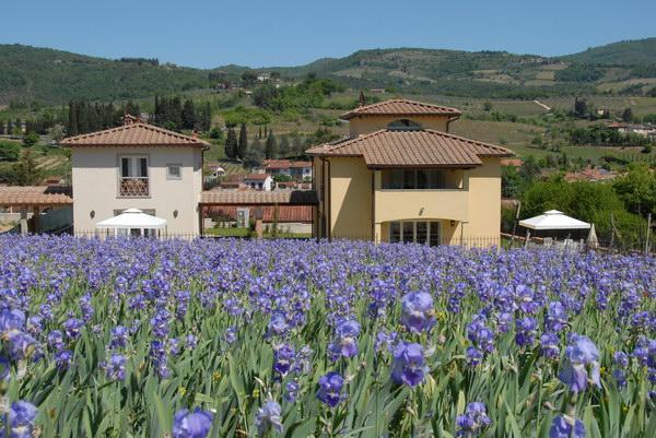 Casa Rosa Villa Greve in Chianti Ngoại thất bức ảnh